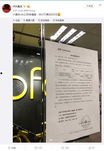 深圳小黄最新爆料新闻,揭秘事件背后惊人真相