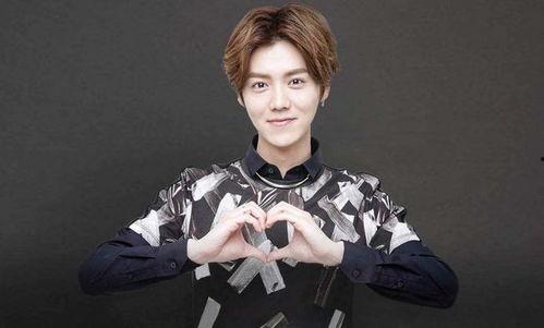 白鹿李晨综艺最新消息爆料,甜蜜互动引热议，幕后故事曝光